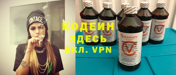 МДПВ Снежногорск