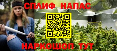 сатива Краснодар
