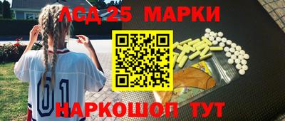 сатива Краснодар