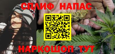 сатива Краснодар