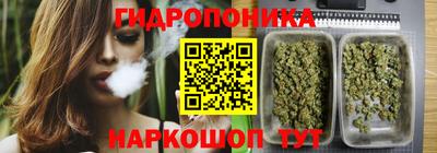 сатива Краснодар