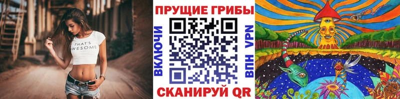Галлюциногенные грибы прущие грибы  Кстово 