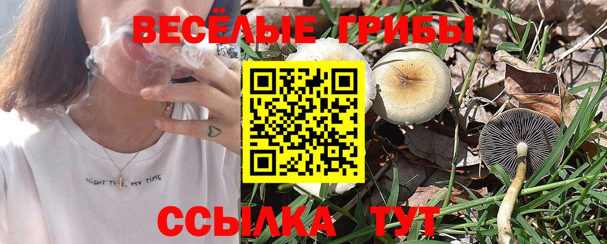 Псилоцибиновые грибы MAGIC MUSHROOMS  Галлюциногенные грибы Cubensis  Кстово  Вход с VPN 