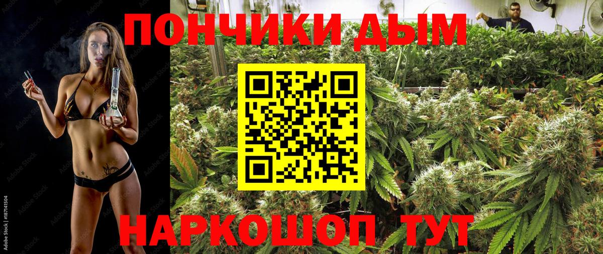 Каннабис планчик Кстово